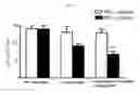 Fig. 33 - MICROVESICLES DERIVED FROM NUCLEATED, MAMMALIAN CELLS AND USE THEREOF