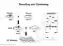 Fig. 01 - Genetically modified rat models for severe combined immunodeficiency (SCID)