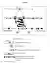 Fig. 07 - Genetically modified rat models for severe combined immunodeficiency (SCID)