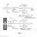 Fig. 05 - Compositions, methods, and systems comprising fluorous-soluble polymers