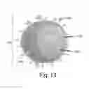 Fig. 09 - Compositions, methods, and systems comprising fluorous-soluble polymers