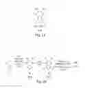 Fig. 16 - Compositions, methods, and systems comprising fluorous-soluble polymers