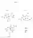 Fig. 02 - Metal abstraction peptide (MAP) tag and associated methods