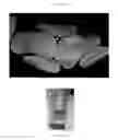 Fig. 05 - Metal abstraction peptide (MAP) tag and associated methods