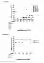 Fig. 03 - Bystander immune suppression as a predictor for response to a vaccine