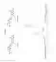 Fig. 05 - SYNTHESIS OF DENDRIMER CONJUGATES