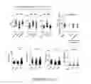 Fig. 09 - COMPOSITIONS AND METHODS OF ALTERATION OF AUTOIMMUNE DISEASES