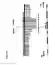 Fig. 05 - Compositions and methods for treatment, diagnosis and prognosis of mesothelioma