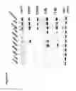 Fig. 07 - Compositions and methods for treatment, diagnosis and prognosis of mesothelioma
