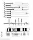 Fig. 08 - Compositions and methods for treatment, diagnosis and prognosis of mesothelioma