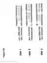 Fig. 17 - Compositions and methods for treatment, diagnosis and prognosis of mesothelioma