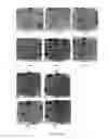 Fig. 03 - METHOD FOR USING LIBERATED DORMANT BACTERIOPHASE AND ENVIRONMENTAL STRESS TO REDUCE INFECTIOUS BACTERIA