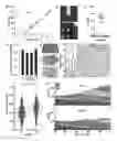 Fig. 01 - Elastic substrates and methods of use in cell manipulation and culture