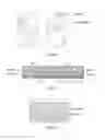 Fig. 02 - Use of gingival fibroblasts for vascular cell therapy