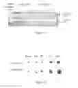 Fig. 08 - Use of gingival fibroblasts for vascular cell therapy