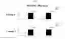 Fig. 08 - COMPOSITION COMPRISING A HAEMATIC COMPONENT AND ITS USE FOR THE TREATMENT OF DEGENERATIVE JOINT DISEASE