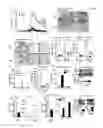 Fig. 04 - METHODS OF OPTIMIZING DISEASE TREATMENT