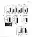 Fig. 07 - METHODS OF OPTIMIZING DISEASE TREATMENT