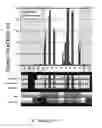 Fig. 22 - Method for selecting a single cell expressing a heterogeneous combination of antibodies