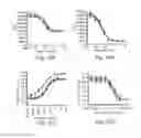 Fig. 20 - ANTIBODIES TO VLA-1