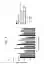 Fig. 28 - FGF21 polypeptides comprising two or more mutations and uses thereof