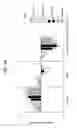 Fig. 80 - FGF21 polypeptides comprising two or more mutations and uses thereof