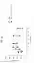 Fig. 84 - FGF21 polypeptides comprising two or more mutations and uses thereof