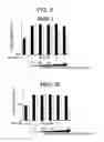 Fig. 12 - Monoclonal antibody capable of binding to heparin-binding epidermal growth factor-like growth factor