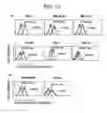 Fig. 16 - Monoclonal antibody capable of binding to heparin-binding epidermal growth factor-like growth factor