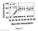 Fig. 07 - Method of treatment and agents useful for same