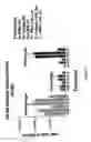 Fig. 08 - Method of treatment and agents useful for same