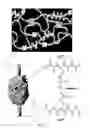 Fig. 07 - Compounds and methods for the modulation of sulfilimine bond formation