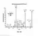 Fig. 14 - Compounds and methods for the modulation of sulfilimine bond formation