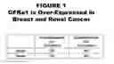 Fig. 02 - Methods and compositions for treating and diagnosing diseases