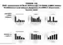 Fig. 145 - Methods and compositions for treating and diagnosing diseases