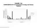 Fig. 161 - Methods and compositions for treating and diagnosing diseases