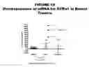 Fig. 19 - Methods and compositions for treating and diagnosing diseases