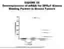 Fig. 20 - Methods and compositions for treating and diagnosing diseases