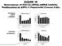 Fig. 40 - Methods and compositions for treating and diagnosing diseases