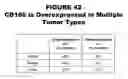 Fig. 43 - Methods and compositions for treating and diagnosing diseases