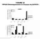 Fig. 44 - Methods and compositions for treating and diagnosing diseases