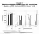 Fig. 58 - Methods and compositions for treating and diagnosing diseases