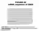 Fig. 83 - Methods and compositions for treating and diagnosing diseases
