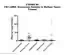 Fig. 85 - Methods and compositions for treating and diagnosing diseases