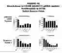 Fig. 95 - Methods and compositions for treating and diagnosing diseases