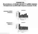 Fig. 97 - Methods and compositions for treating and diagnosing diseases