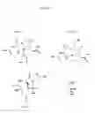 Fig. 02 - Metal Abstraction Peptide (MAP) Tag and Associated Methods