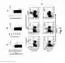 Fig. 04 - IMMUNOMODULATING COMPOSITIONS COMPRISING INTERLEUKIN 13 INHIBITORS AND USES THEREFOR