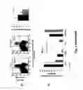 Fig. 08 - IMMUNOMODULATING COMPOSITIONS COMPRISING INTERLEUKIN 13 INHIBITORS AND USES THEREFOR