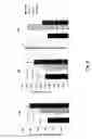 Fig. 09 - IMMUNOMODULATING COMPOSITIONS COMPRISING INTERLEUKIN 13 INHIBITORS AND USES THEREFOR